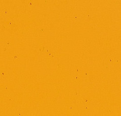 Линолеум Forbo Sphera Energetic 50210 mandarin фото 1 | FLOORDEALER